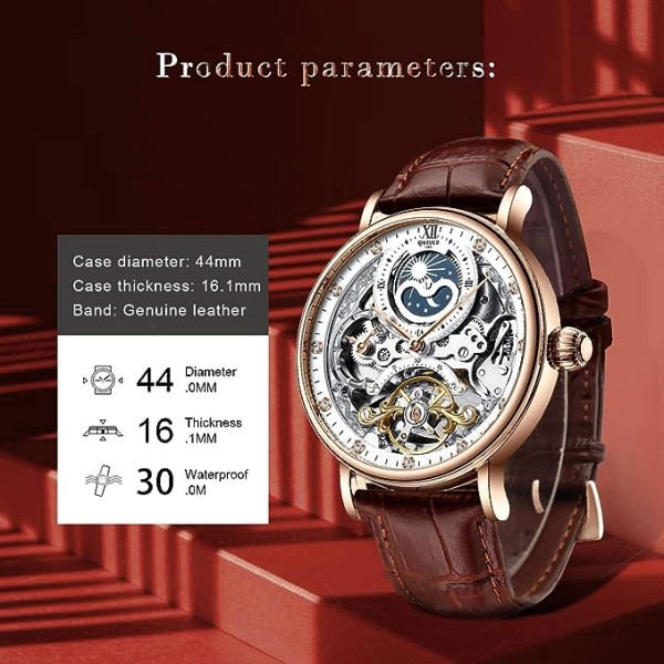 Mens Luxury Skeleton Automatic Mechanical Wrist Watches 
